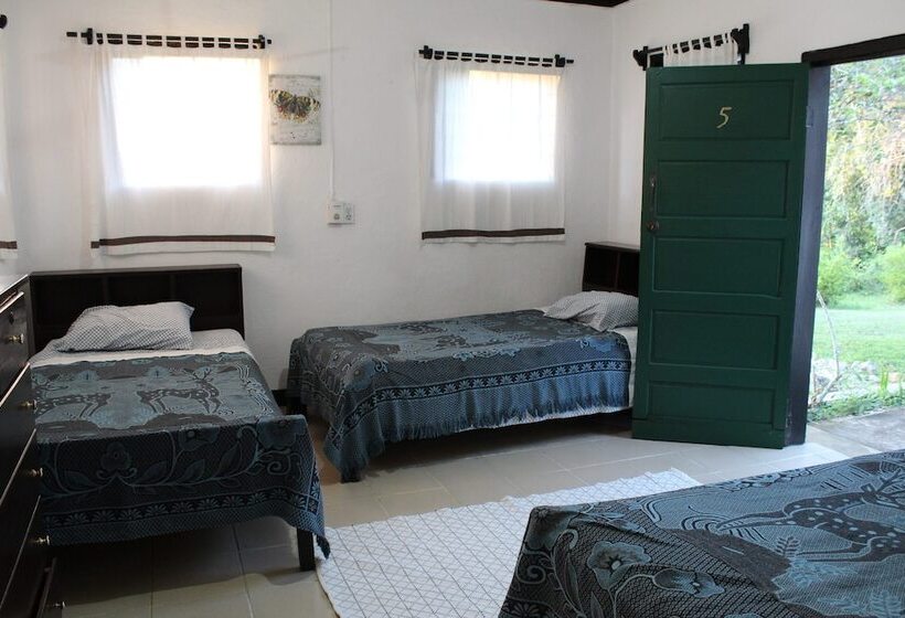 스탠다드 트리플 룸, Nabitunich