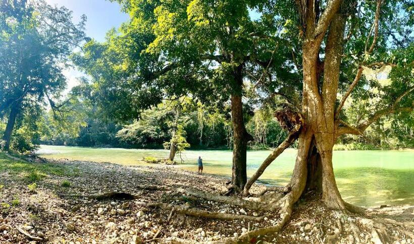 스탠다드 룸 가든 전망, Nabitunich