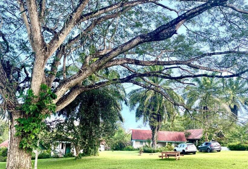 스탠다드 룸 가든 전망, Nabitunich