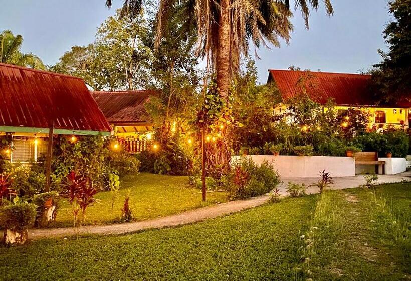 스탠다드 룸 가든 전망, Nabitunich