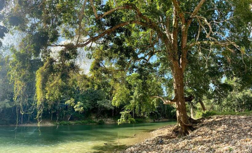 스탠다드 트리플 룸, Nabitunich