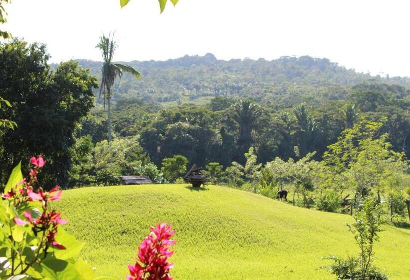 스탠다드 발코니 룸, Nabitunich