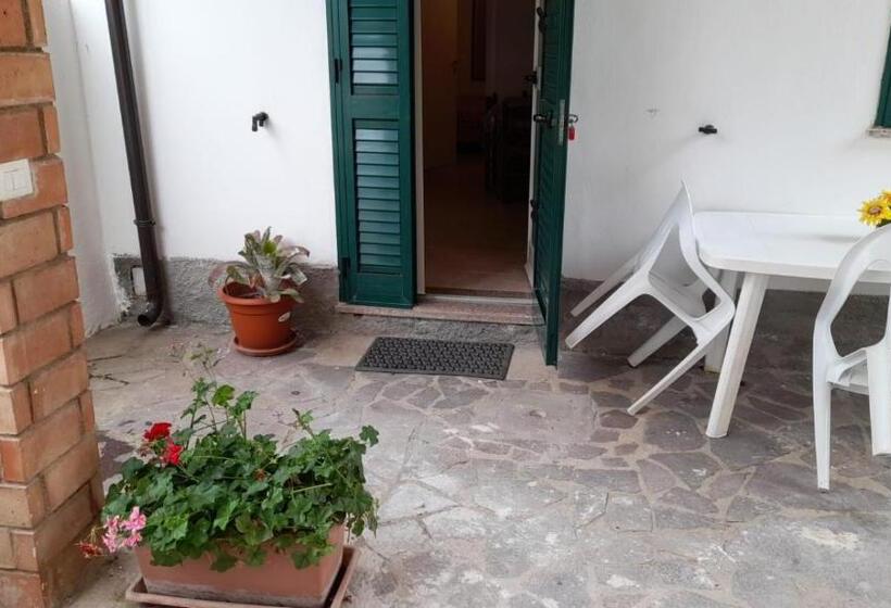 低层单卧公寓, La Grazia