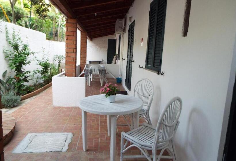 标准工作室, La Grazia