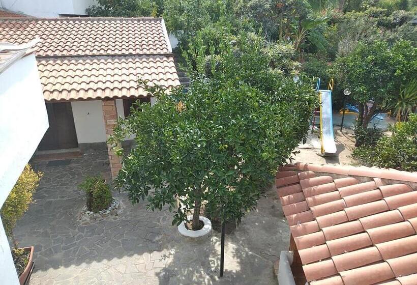 低层单卧公寓, La Grazia