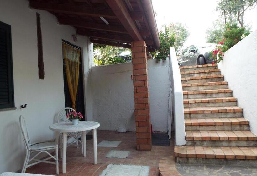 标准工作室, La Grazia