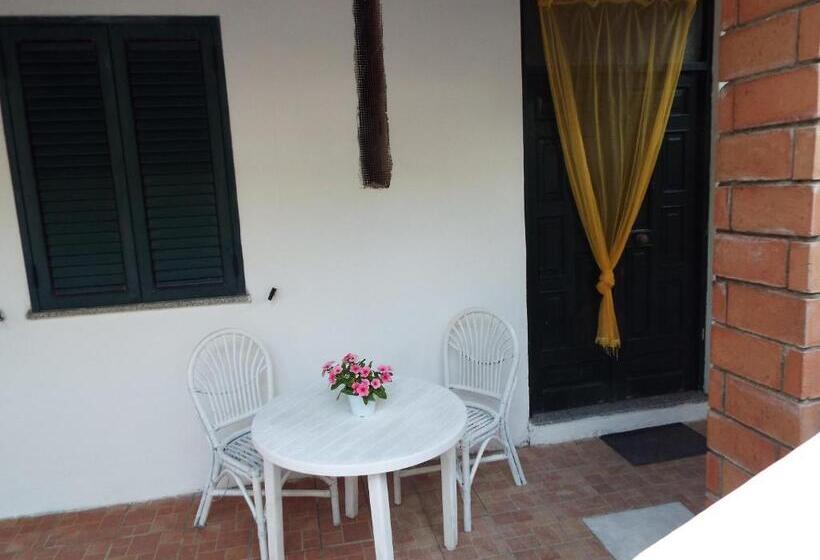 标准工作室, La Grazia