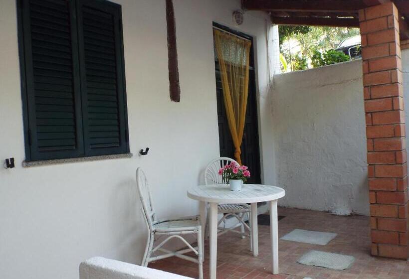 标准工作室, La Grazia