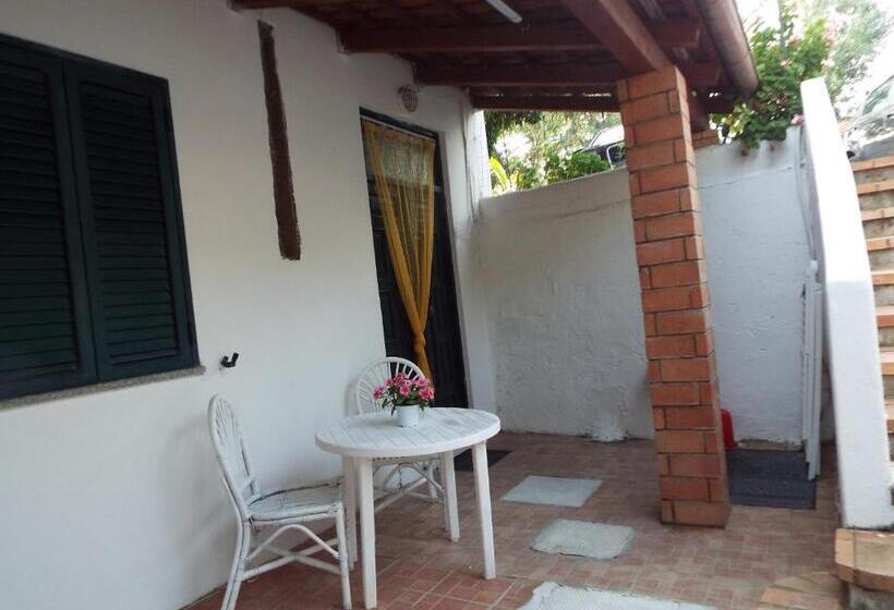 标准工作室, La Grazia