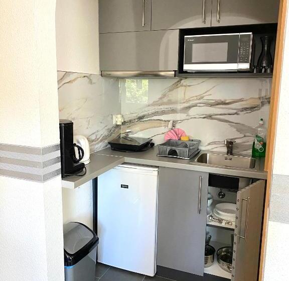 带1个卧室的公寓, Pearl Home Siofok