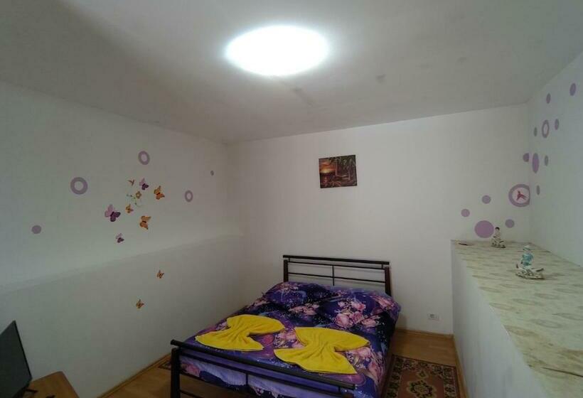 豪华房间, Pensiunea Casa Montana