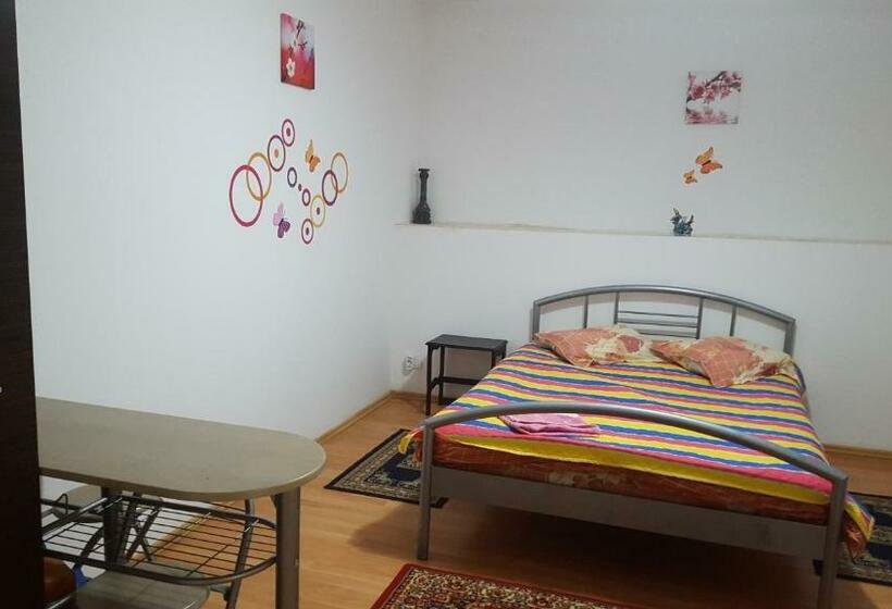 标准间, Pensiunea Casa Montana