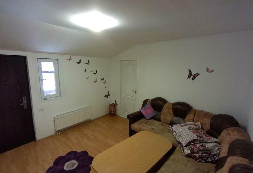 四人标准间, Pensiunea Casa Montana