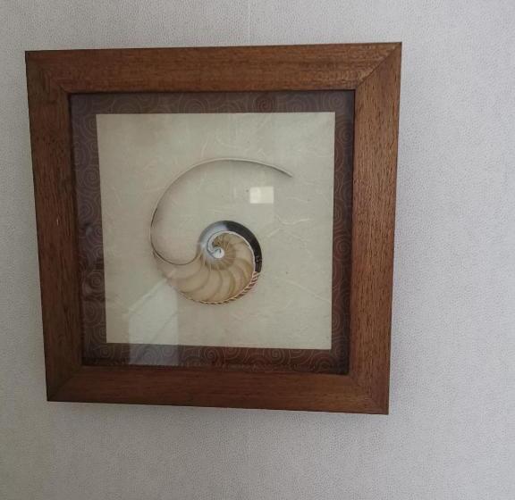 标准间, A L Ombre Des Pins