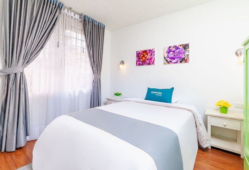 标准单人间, Ayenda Casa La Castellana