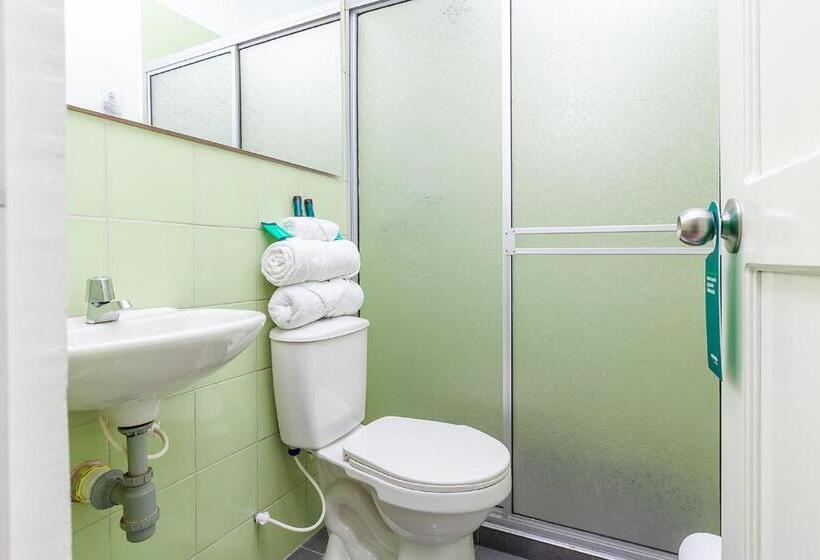 高级大房间, Ayenda Casa La Castellana