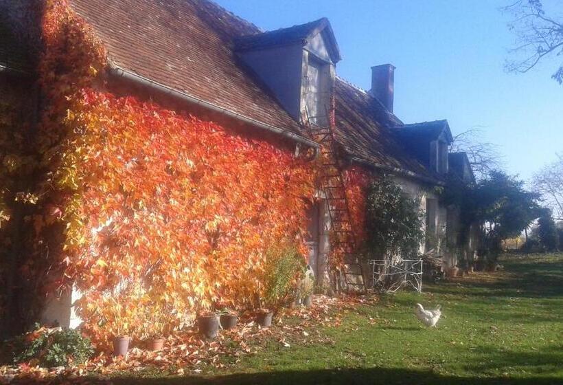 Standardzimmer mit Gartenblick, La Vigneraie