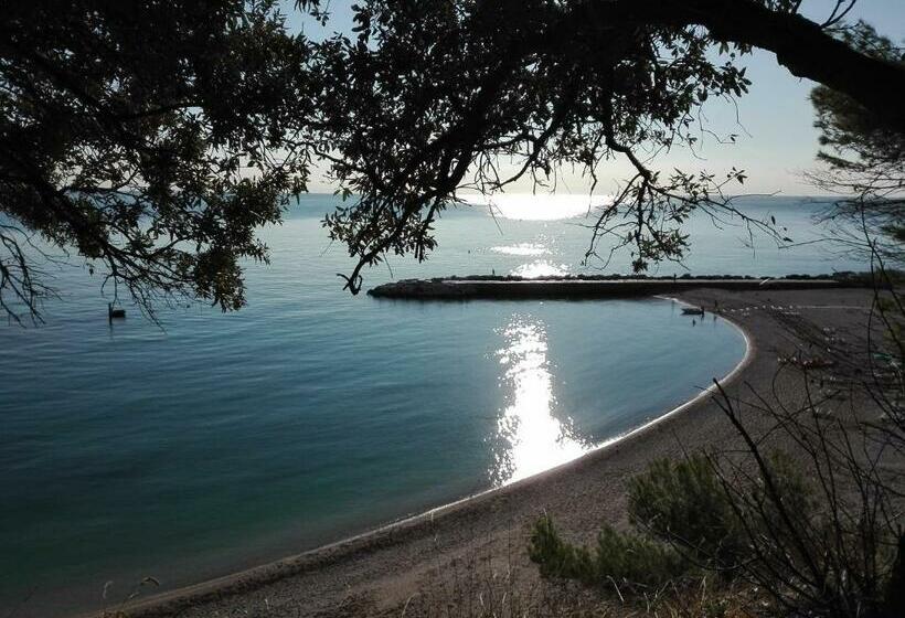 غرفة قياسية, Affittacamere Villa Zelinda