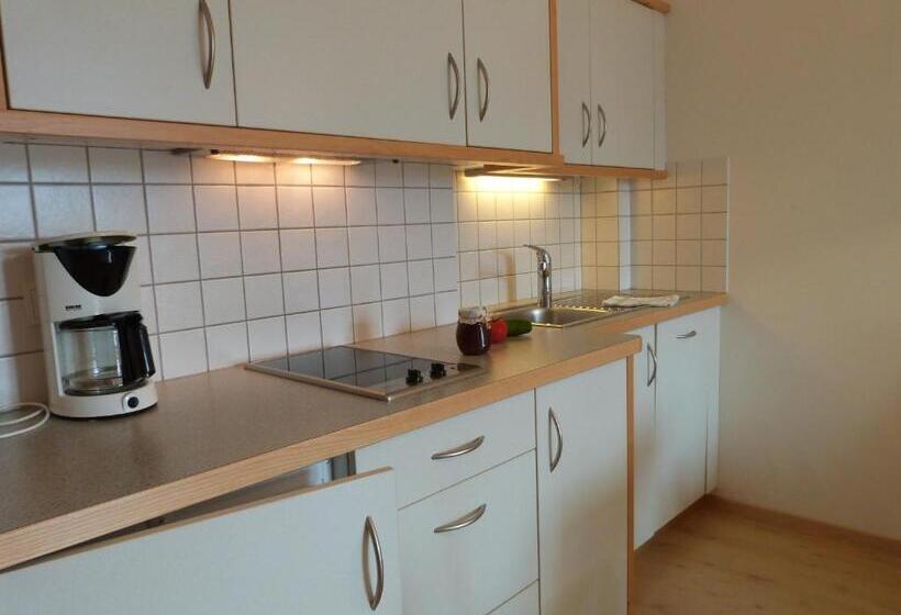 شقة غرفة واحدة, Garni Nunnemairhof