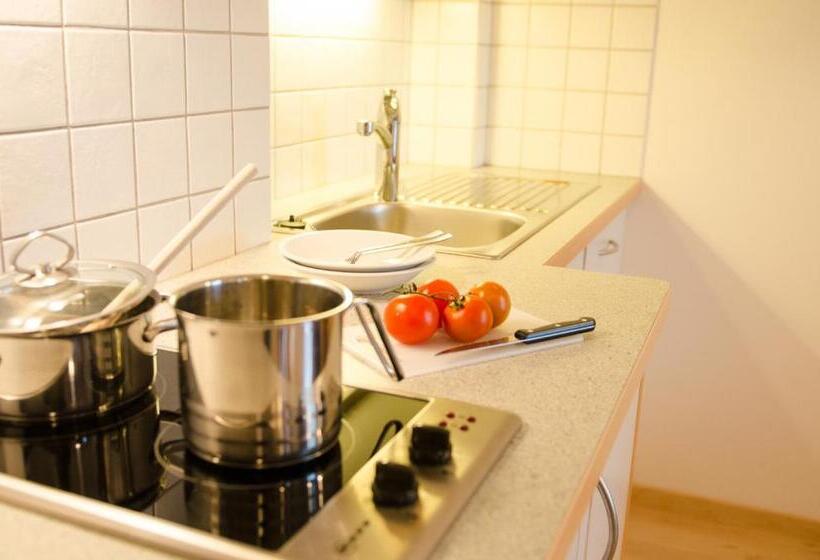 شقة غرفة واحدة, Garni Nunnemairhof