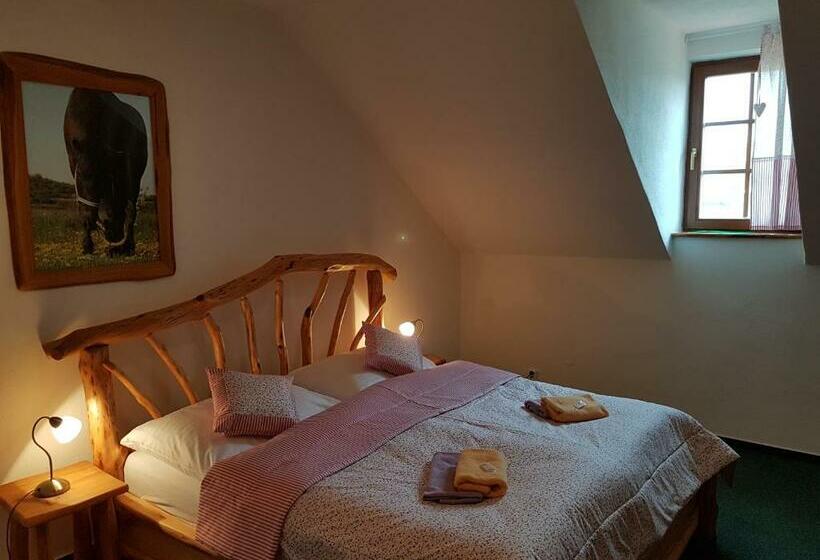 Номер Стандарт, Osada Havranů