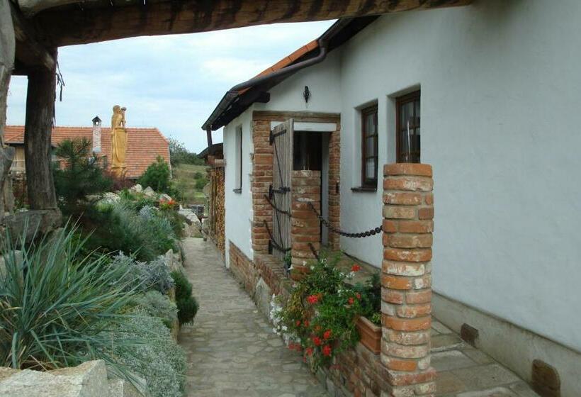 Номер Стандарт, Osada Havranů