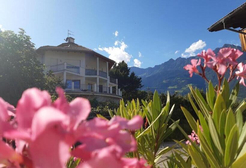 آپارتمان 1 خوابه همکف, Chalet Anna