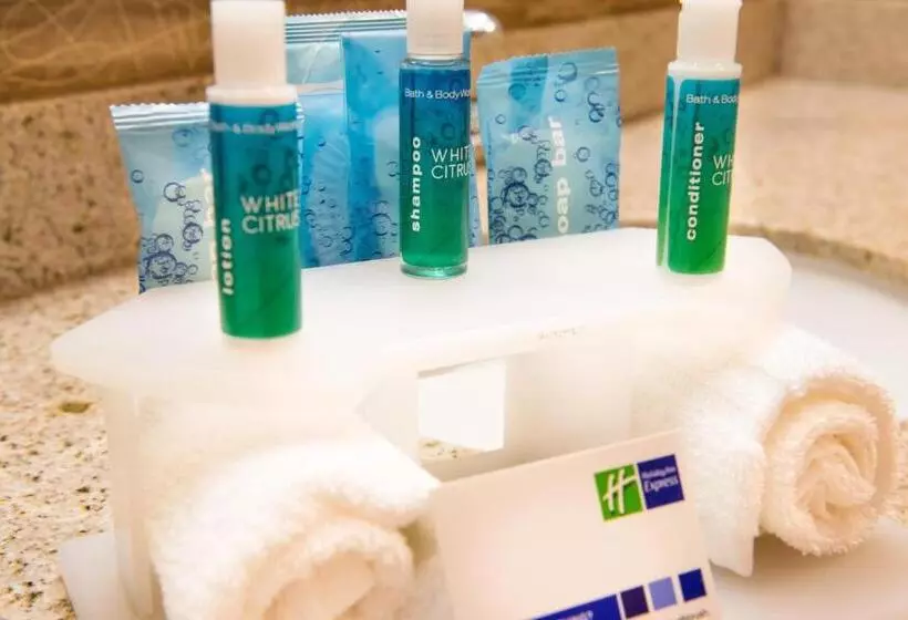 キングサイズベッドのスイートルーム, Holiday Inn Express Hotel & Suites Bucyrus, An Ihg