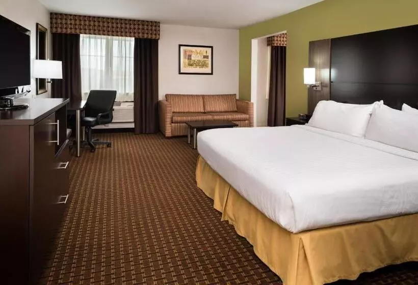 キングサイズベッドのスイートルーム, Holiday Inn Express Hotel & Suites Bucyrus, An Ihg