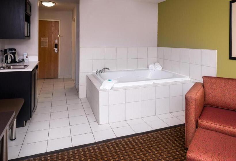 جناح سرير كينج, Holiday Inn Express Hotel & Suites Bucyrus, An Ihg