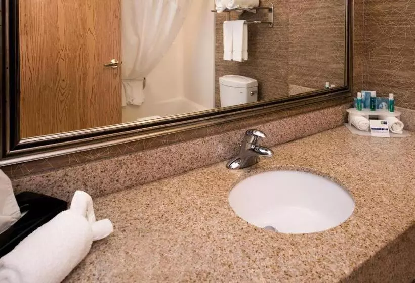 身障者適用キングサイズベッドルーム, Holiday Inn Express Hotel & Suites Bucyrus, An Ihg