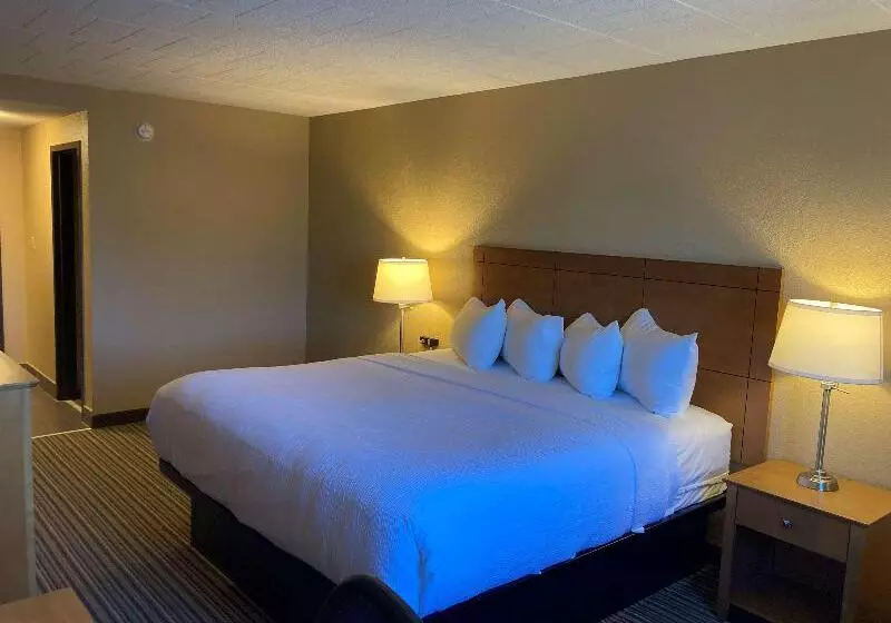 キングサイズベッドのスタンダードルーム, Best Western Plus Reading Inn & Suites