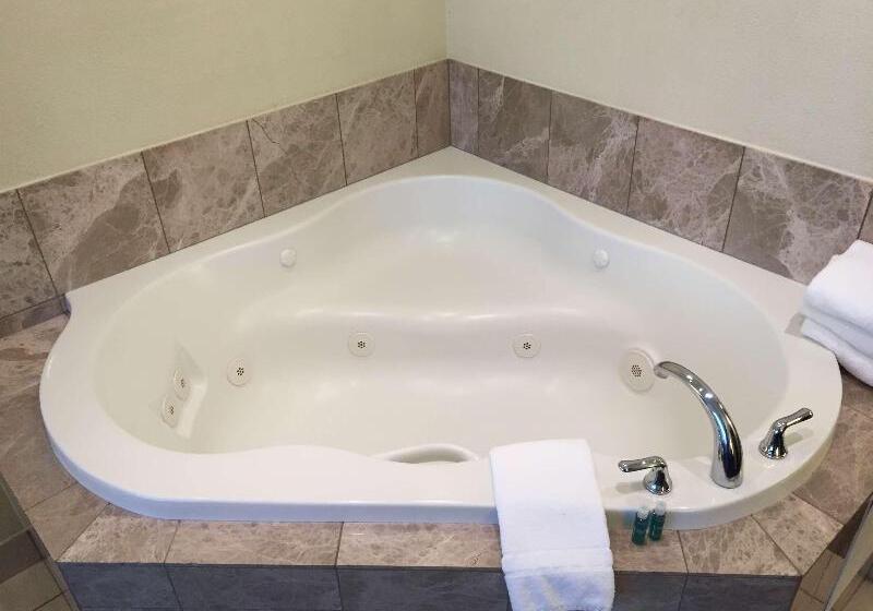 חדר סטנדרט עם מיטת קינג, Best Western Plus Reading Inn & Suites