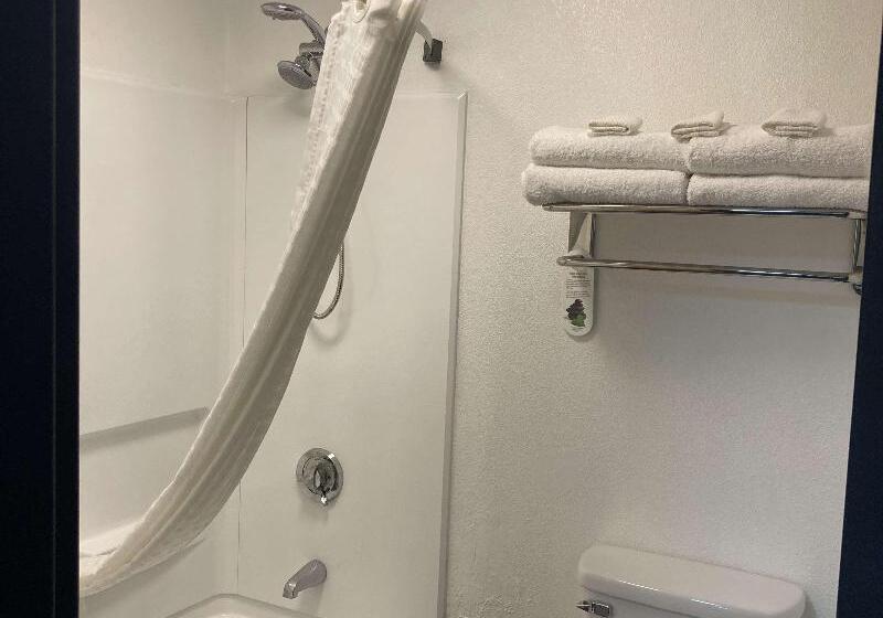 חדר סטנדרט עם מיטת קינג, Best Western Plus Reading Inn & Suites