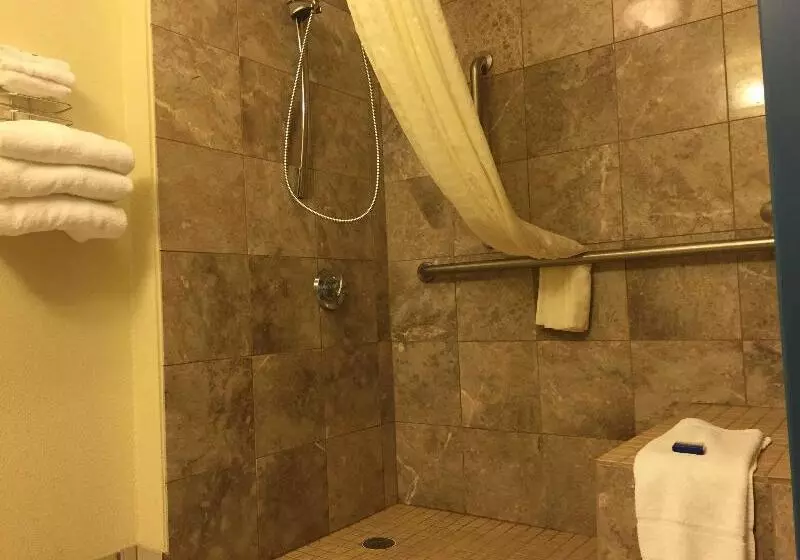 身障者適用スタンダードルーム, Best Western Plus Reading Inn & Suites