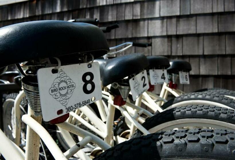 إستوديو قياسى, Bird Rock