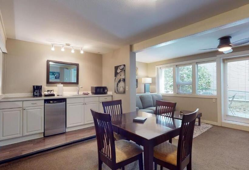 إستوديو قياسى, Bird Rock