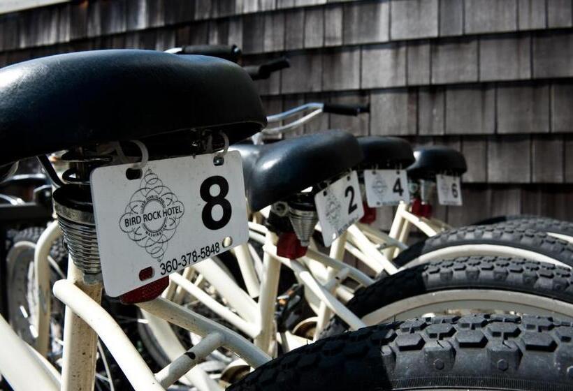 غرفة قياسية مزوَّدة بجاكوزي, Bird Rock