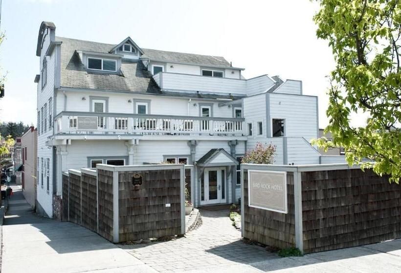 غرفة قياسية, Bird Rock