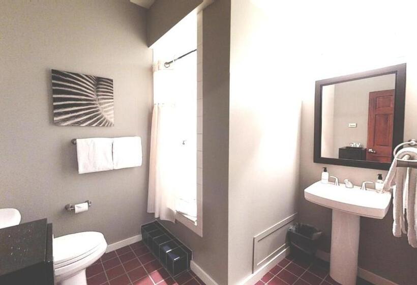 غرفة قياسية سرير كينج, Bird Rock