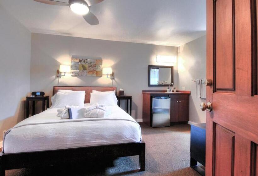 غرفة قياسية, Bird Rock