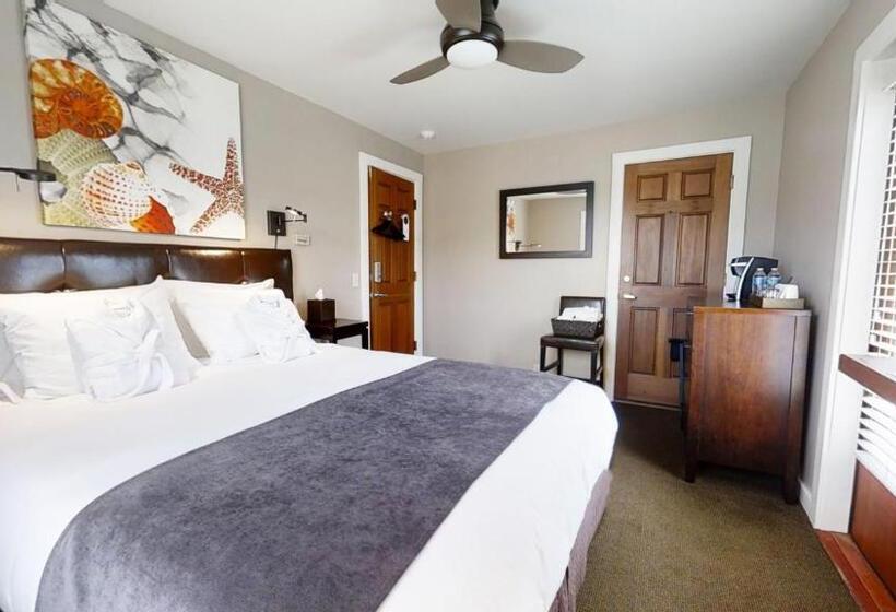 غرفة قياسية حمام مشترك, Bird Rock