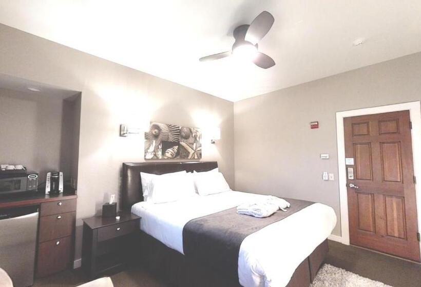 غرفة قياسية سرير كينج, Bird Rock