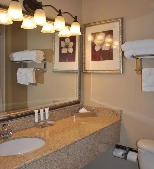 身障者適用スタンダードルーム, Country Inn & Suites By Radisson, Covington, La
