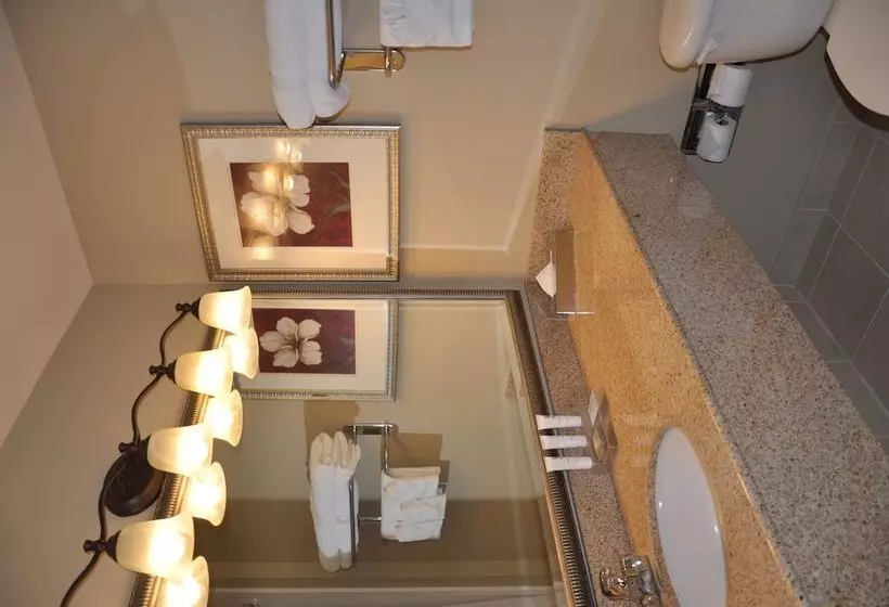 スイート, Country Inn & Suites By Radisson, Covington, La