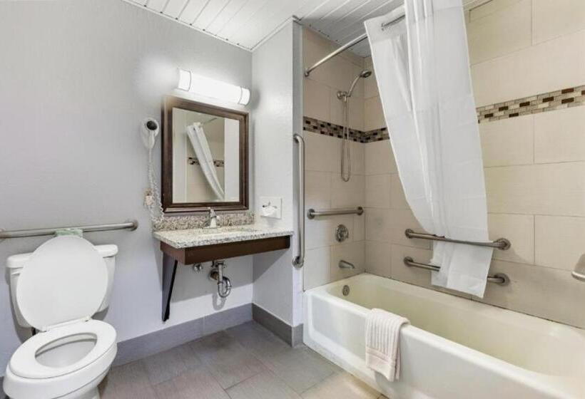 스탠다드 룸 킹사이즈 침대, Days Inn By Wyndham Savannah Gateway I95