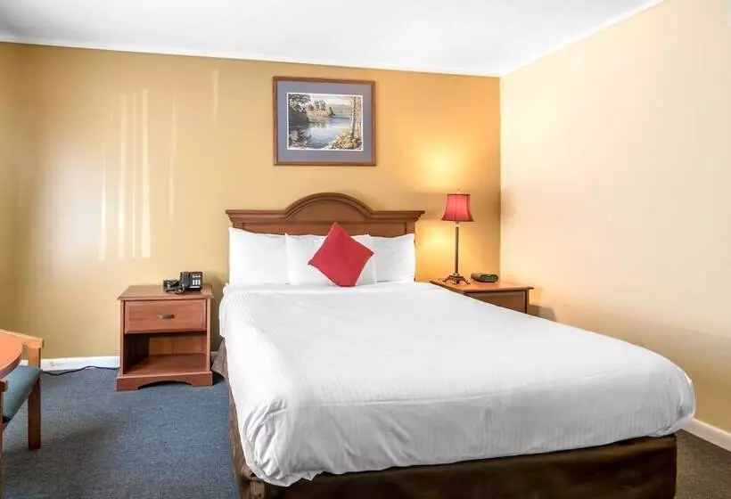 スタンダードルーム, Econo Lodge Inn & Suites