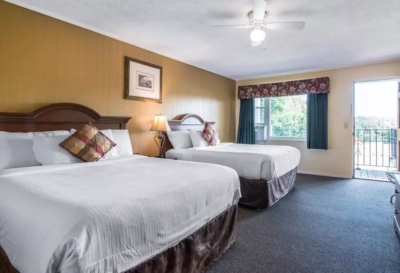 スタンダードルーム, Econo Lodge Inn & Suites