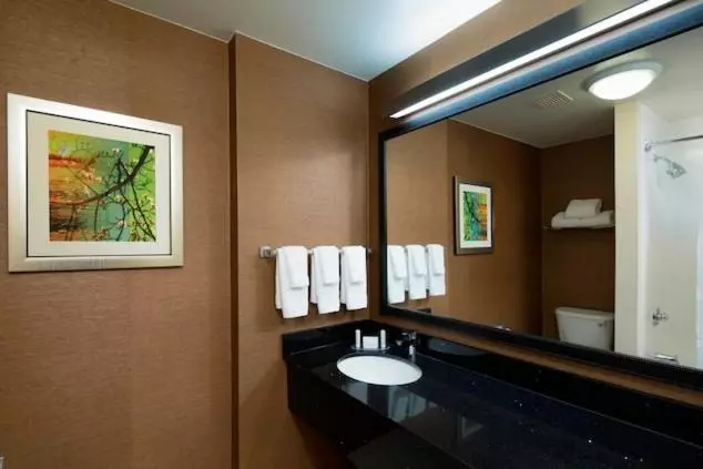 キングサイズベッドのスイートルーム, Fairfield Inn & Suites By Marriott Newark Liberty International Airport