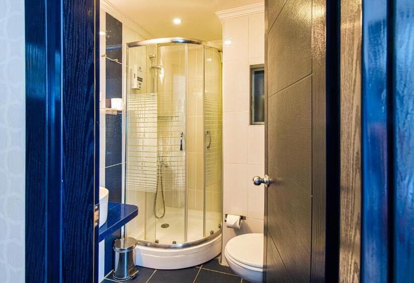 Camera Standard, Kozan City